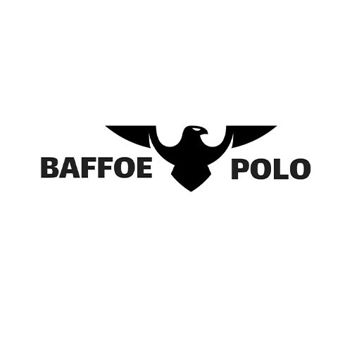 SIBE Consult - Baffoe Polo