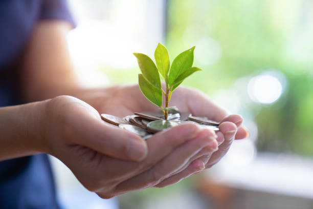 A coins with tree in people hands in business growth plan concept